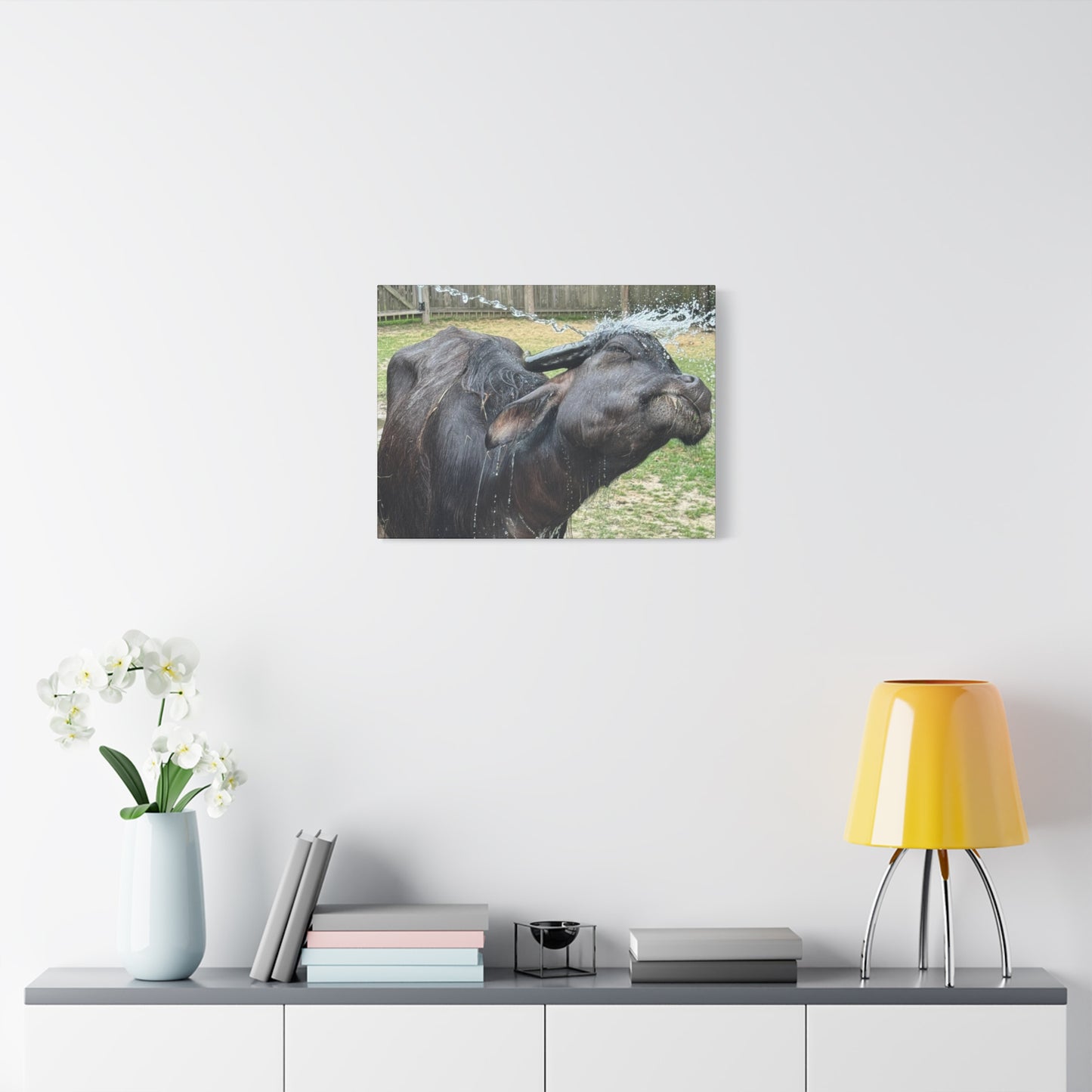 "Middleton: Water Buffalo", Matte Canvas, Stretched, 1.25"
