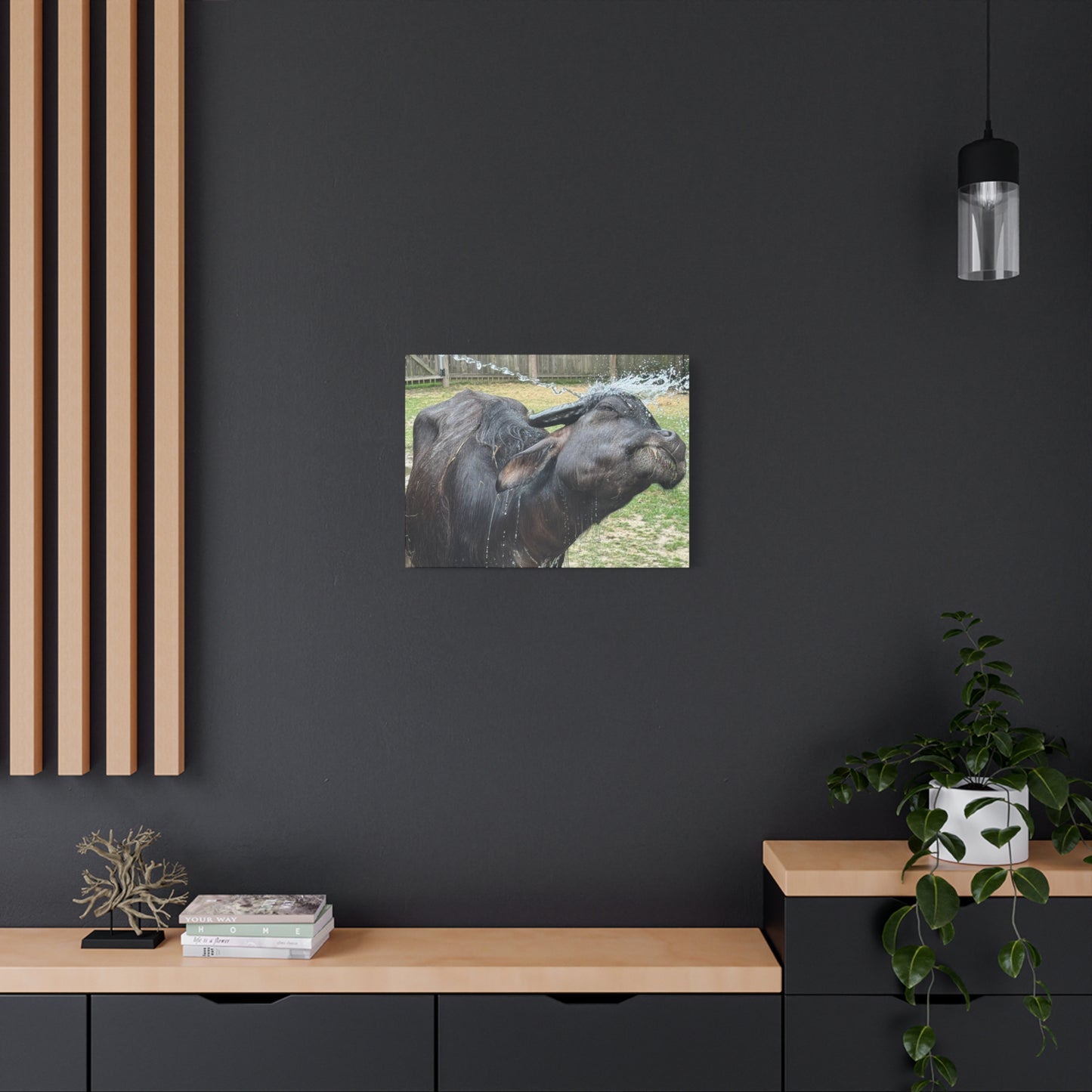 "Middleton: Water Buffalo", Matte Canvas, Stretched, 1.25"