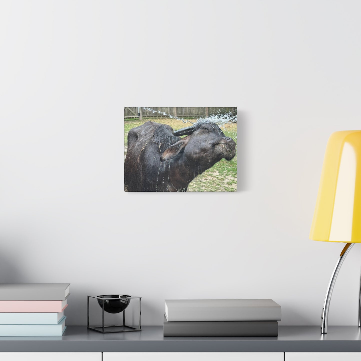 "Middleton: Water Buffalo", Matte Canvas, Stretched, 1.25"