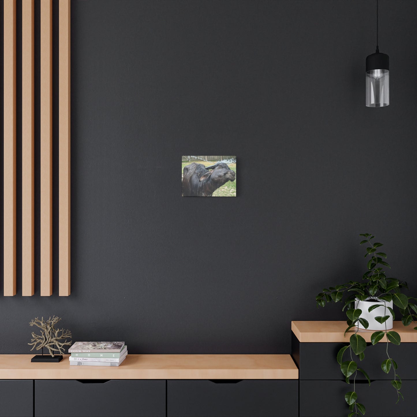 "Middleton: Water Buffalo", Matte Canvas, Stretched, 1.25"