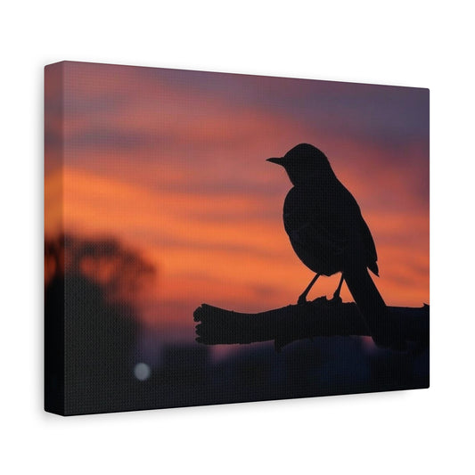 “Mocking Bird”, Matte Canvas, Stretched, 1.25"