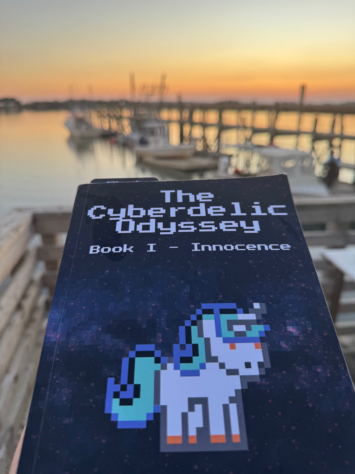 The Cyberdelic Odyssey: Book I - Innocence